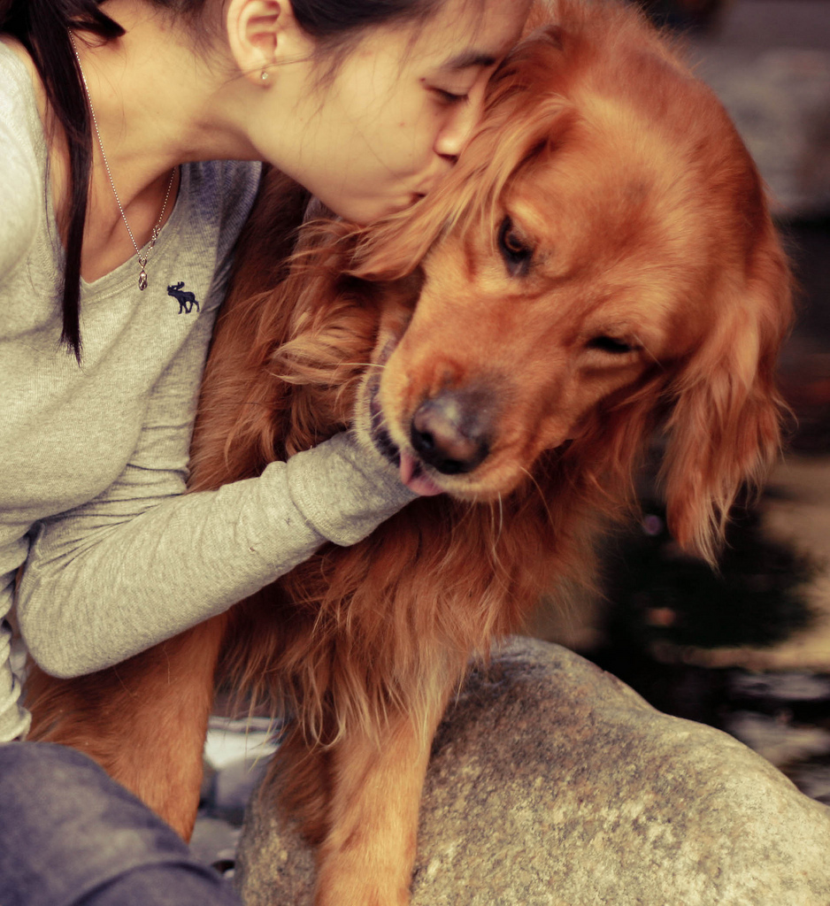 Пес любовный аромат. Девушка с собакой. Любовь собаки к человеку. Рыжая девочка с собакой. Девушка обнимает собаку.
