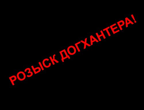 розыск