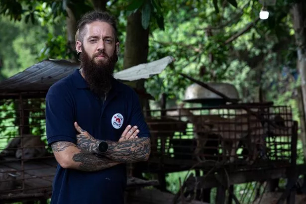 Мэтт Бэкхаус работает над тем, чтобы положить конец жестокой торговле собачьим мясом