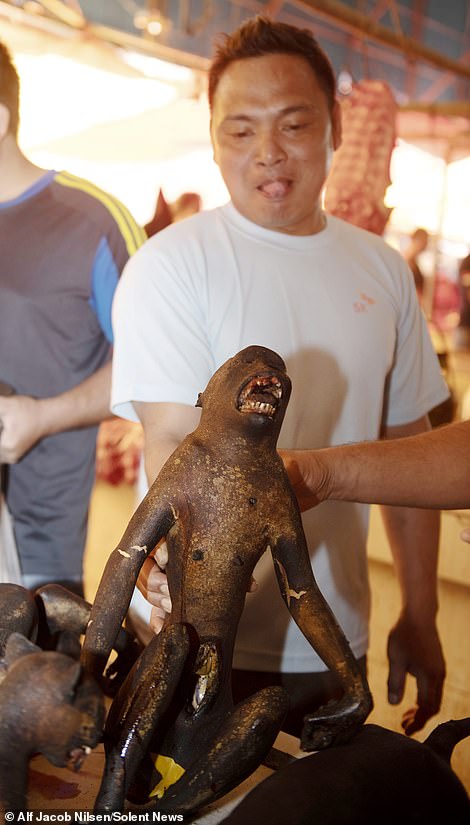 Многие виды обезьян находятся под защитой индонезийского законодательства, и поэтому на них нельзя охотиться ради еды, и тем не менее на рынке Томохон их легко найти в продаже